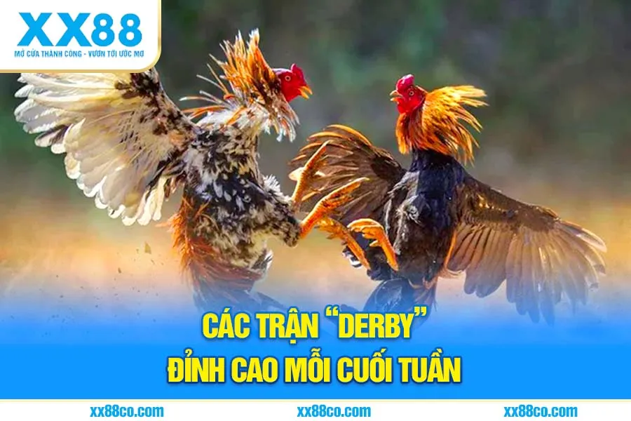 Các trận “derby” đỉnh cao mỗi cuối tuần